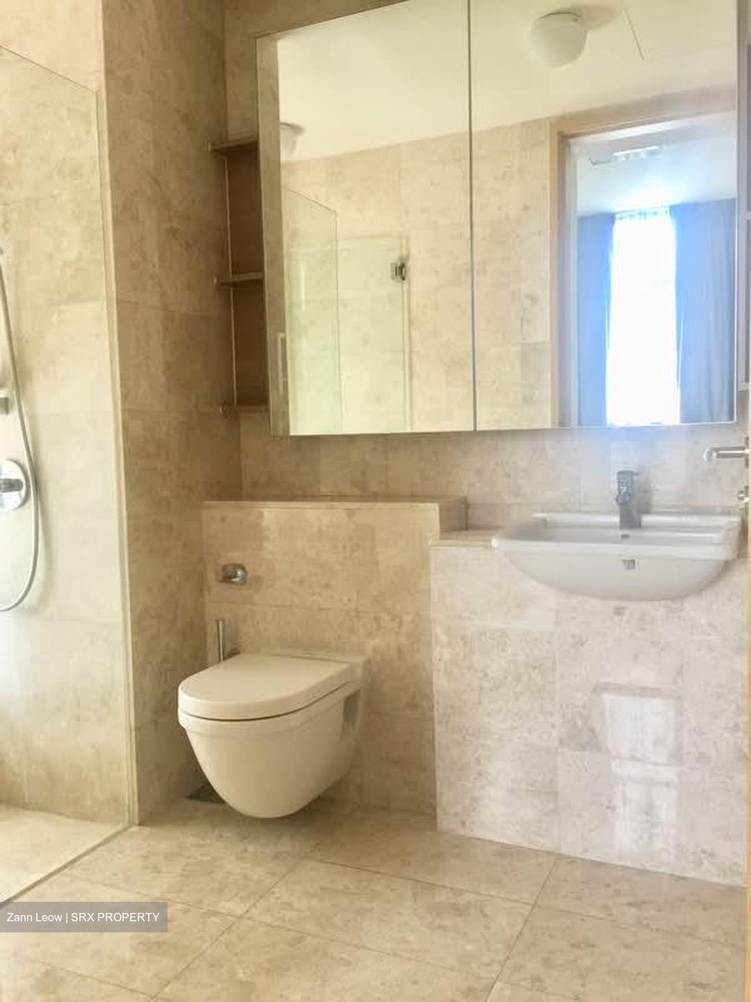 Soleil @ Sinaran (D11), Condominium #581788021
